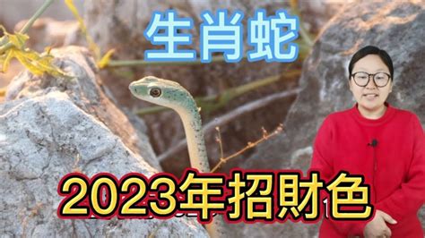 蛇幸運顏色|2024屬蛇幸運色：黃色、藍色 掌握好時機才能發揮能量